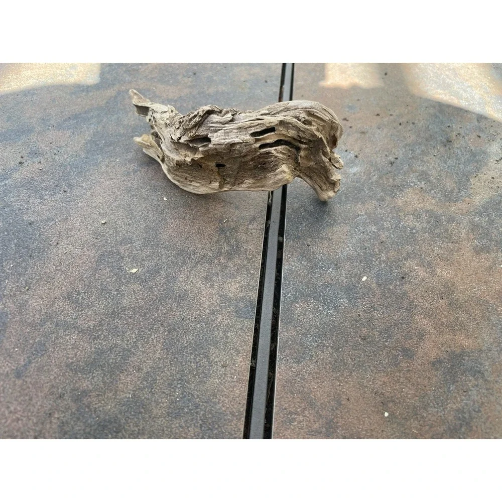 Natural Driftwood for Plants Terrarium‎ Taxidermy Art Projects